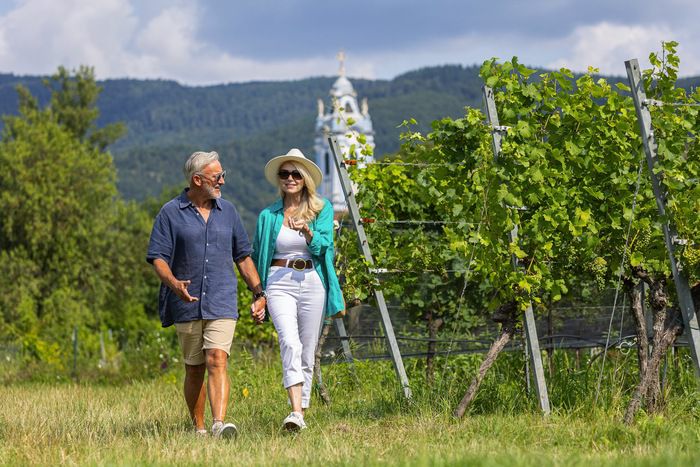 Shore excursions and activities